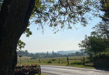 Tour Zu Fuß Wellin - Sohier, 12 - Photo