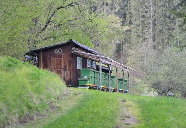 Tour Zu Fuß Pernegg an der Mur - Wanderweg 10 - Photo