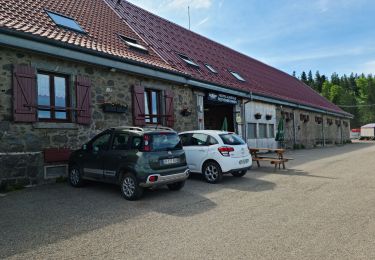 Tour Wandern Sondernach - Rando les Copains d'abord.. 19/05/2022 - Photo
