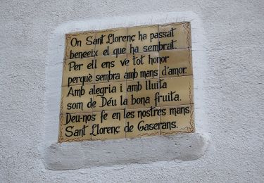 Tocht Te voet Sant Feliu de Buixalleu - SL-C 88 Gaserans-Coll de n'Orri - Photo