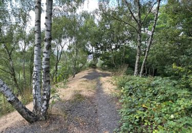 Tocht Stappen Luik - Liège sainte Walburge Buren sentier coteau terril 17,2 km - Photo