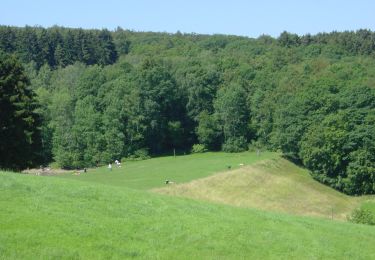 Tocht Te voet Euskirchen - EifelSchleife Madbachtalsperre - Photo