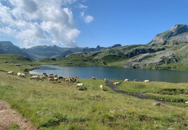 Excursión sport Laruns - Gabas Etsaut  - Photo