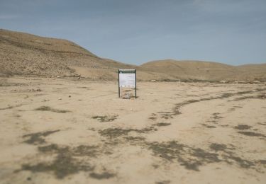 Excursión A pie מועצה אזורית רמת נגב - נחל ניצנה - Photo