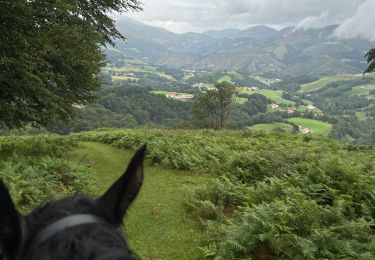 Trail Horseback riding Auritz - 2023 R2 J1 - Photo