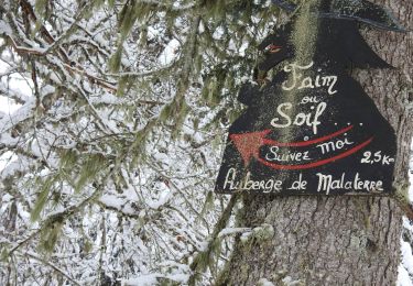 Trail Snowshoes Villard-de-Lans - RECO RESTO MALATERRE - Photo