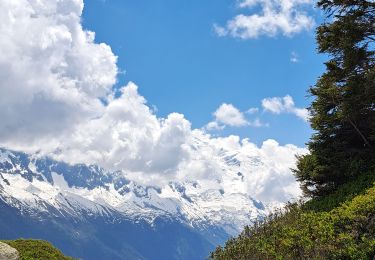 Excursión Senderismo Chamonix-Mont-Blanc -  Depuis le télécabine de La Flégère jusqu'au refuge et Lac Blanc et descente bouclée par les Lacs des Chéserys - Photo