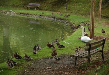 Excursión A pie Bad Friedrichshall - N5a Salzwanderweg - Wandern auf den Spuren des weißen Goldes - Photo