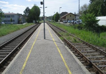 Tour Zu Fuß Baumgartenberg - Voralpenblickrunde - Photo