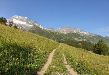 Trail Walking Sainte-Foy-Tarentaise - Chenal Monal Clou Fenil (boucle) - Photo
