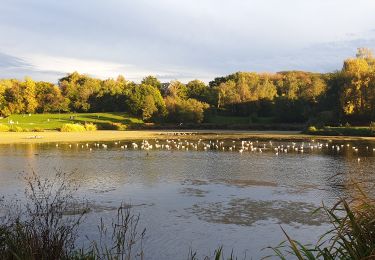 Tocht Stappen Ottignies-Louvain-la-Neuve - LLN, short one - Photo