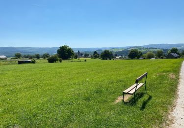 Randonnée Marche Stoumont - Stoumont 11 km - Photo