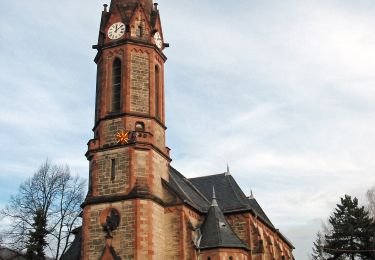 Randonnée A pied Rudolstadt - Ringweg - Photo