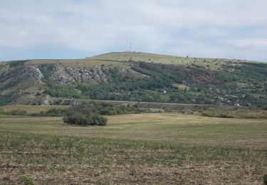 Tocht Te voet Isztimér - K+ (Kisházi-Páskom (Burok-part) - Baglyas-hegy) - Photo