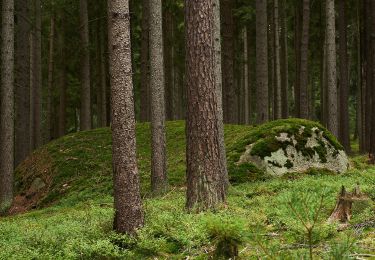 Tour Zu Fuß Bad Alexandersbad - Bad Alexandersbad - Rundwanderweg Nr. 3 - Photo