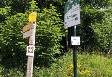 Tocht Wegfiets Biviers - Col du coq 31-07-2021 - Photo