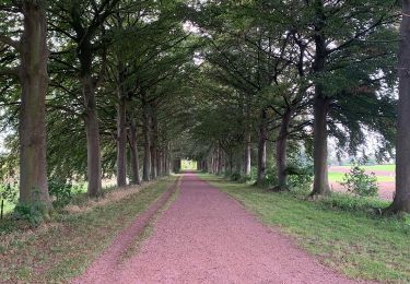 Percorso Marcia Heers - Le château de Bovelingen et son allée rouge à Heers - Photo