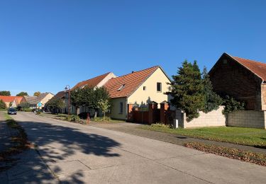 Tour Zu Fuß Buckautal - Naturparkrundwanderweg 52 - Photo