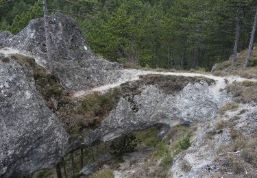 Randonnée A pied Gemeinde Pernitz - Gemeindewanderweg - Photo