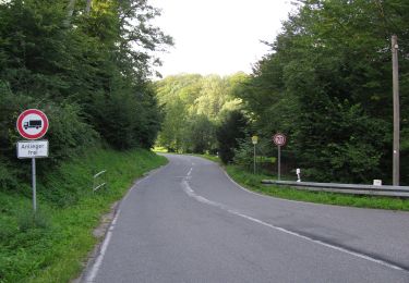 Tour Zu Fuß Fuldatal - Eco Pfad Knickhagen-Wilhelmshausen - Photo