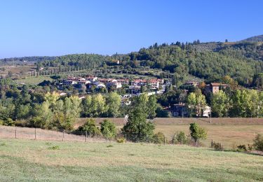 Tour Zu Fuß Greve in Chianti - IT-G11 - Photo