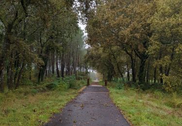 Trail Walking Labouheyre - Labouheyre Aureilhan  - Photo