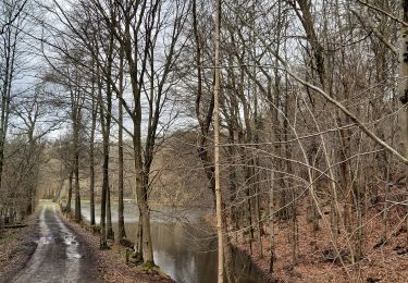 Trail Walking Saint-Hubert - Domaine provincial de Mirwart - tour par Le Parc - Les étangs St Roch - Promenade du Vieux Moulin - Photo