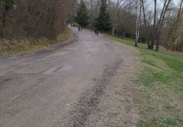 Trail Walking Saint-Georges-d'Espéranche - rando 20220313 - Photo