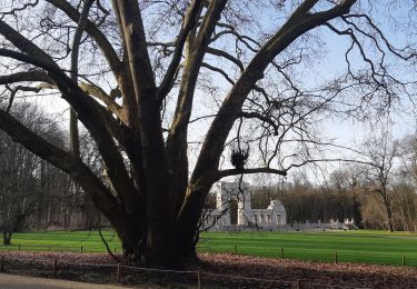 Trail Walking Vaucresson - monument rscadrille Lafayette et bois de la marche - Photo