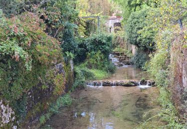 Tour Wandern Saint-Sulpice - 2e étape St Sulpice Cabrenet - Photo