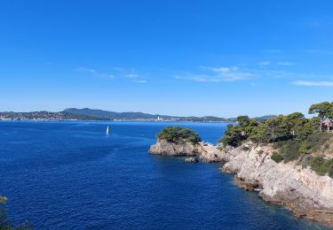 Trail Walking Toulon - toulon sentier du littoral  - Photo