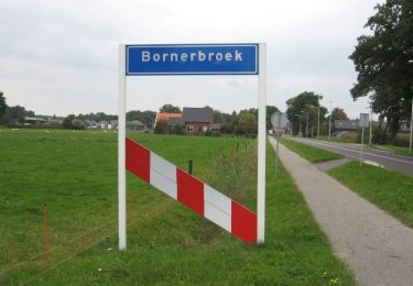 Tocht Te voet Almelo - WNW Twente - Bornerbroek - gele route - Photo
