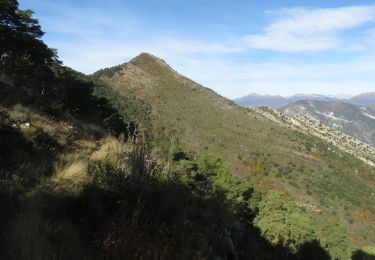 Trail Walking Toudon - Mont Brune depuis Toudon - Photo