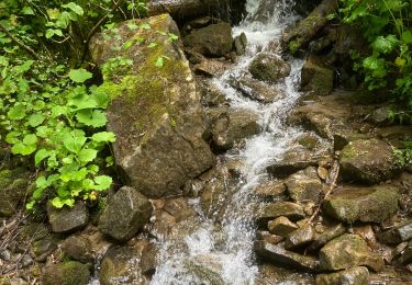 Tocht Stappen Montricher-Albanne - Chemin ´°5 - Photo