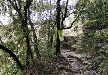 Trail Walking La Colle-sur-Loup - la colle falaise - Photo