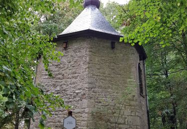 Tour Wandern Malmedy - Malmedy (Bévercé - Ferme Libert- Mont - Chôdes) - Photo