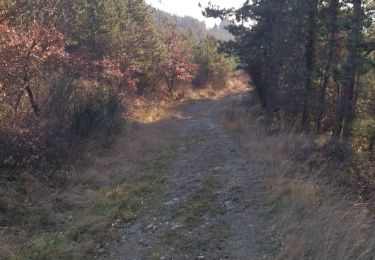 Tocht Stappen Puy-Saint-Martin - 26 Puy St Martin 12.01.22 - Photo