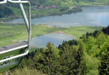 Trail On foot Immenstadt im Allgäu - Großer Alpsee Rundwanderweg - Photo