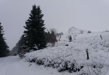 Percorso Racchette da neve Chastreix - Chastreix10-01-24 - Photo