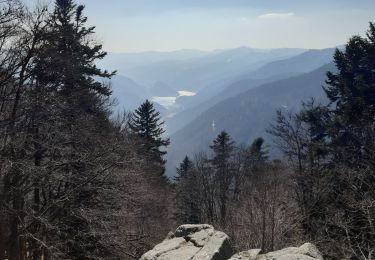 Tour Wandern Woll - col de bramont - Photo