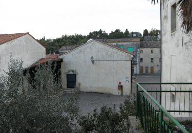 Percorso A piedi Barbarano Mossano - Sentiero delle Fontanelle - Photo