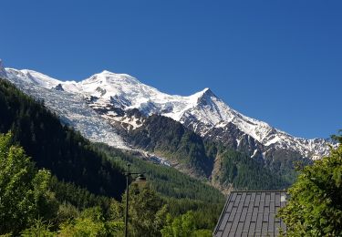 Randonnée Marche Chamonix-Mont-Blanc - Cascade du Dard Glacier du Bosson - Photo