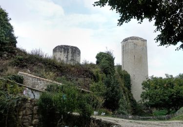 Tour Wandern Échiré - Echiré: balade des 3 châteaux  - Photo