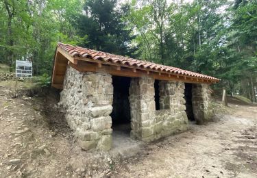 Excursión Senderismo Renaison - St/André d’Apchon : Gonnards, Bonnéveaux, Bellevue  - Photo