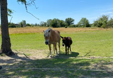 Tour Wandern Rochefort - Jambline  - Photo