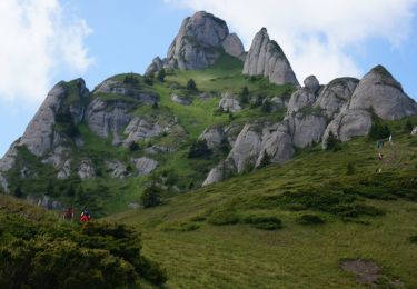 Randonnée A pied Săcele - Cabana Babarunca - Șaua Teslei - Șaua Tigăilor - Photo