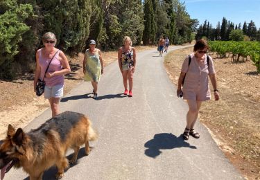 Trail Walking Saint-Cannat - Saint Cannat 05/08/2021 - Photo