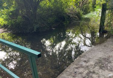 Tocht Stappen Beaumont-le-Roger - Sans nom - Photo