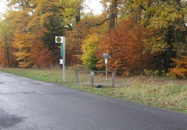 Trail On foot Hofgeismar - Hessenweg 6, Abschnitt Sababurg - Reinhardshagen - Photo
