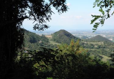 Randonnée A pied Rovolon - Sentiero del Monte della Madonna - Photo